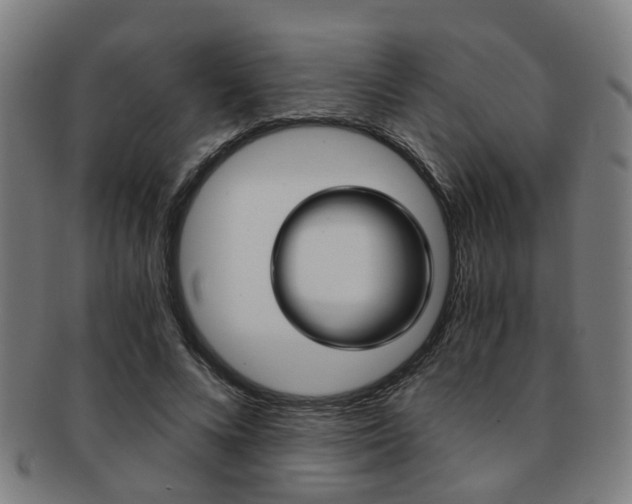 X0000091900688200709051104