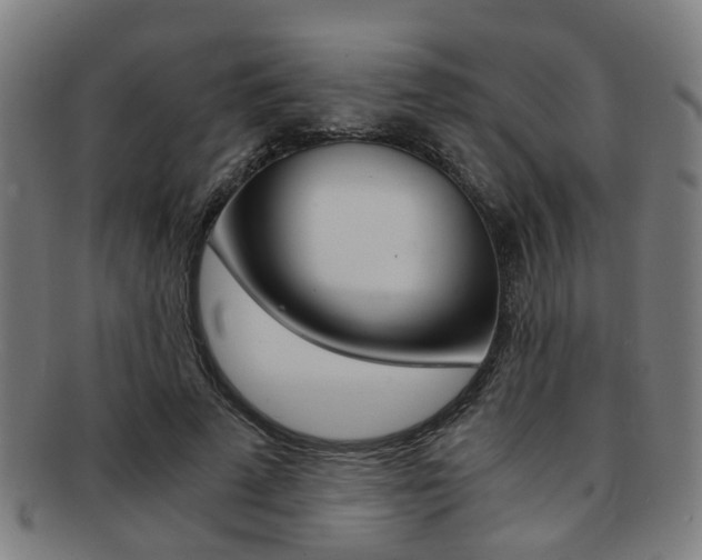X0000091900689200709051104