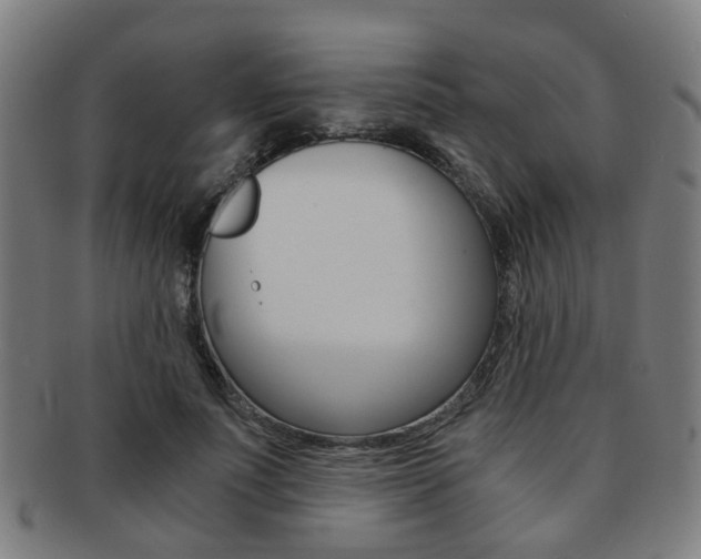 X0000091900691200709051104