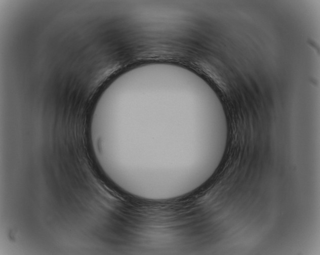 X0000091900692200709051104