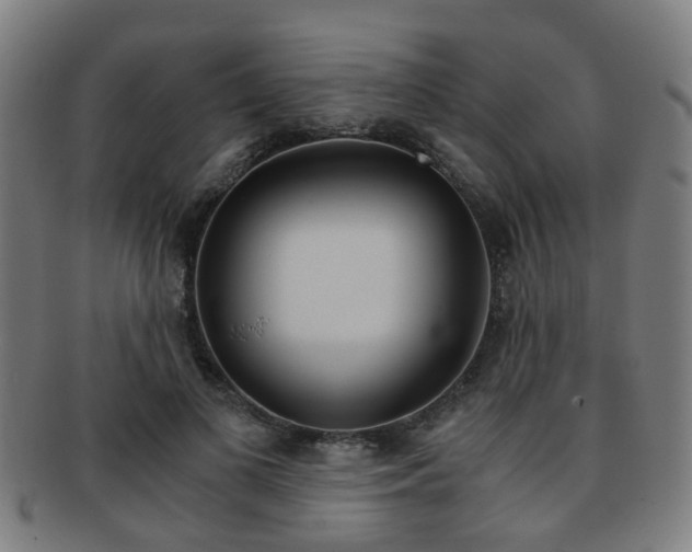 X0000091900693200709051104