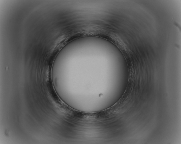 X0000091900694200709051104