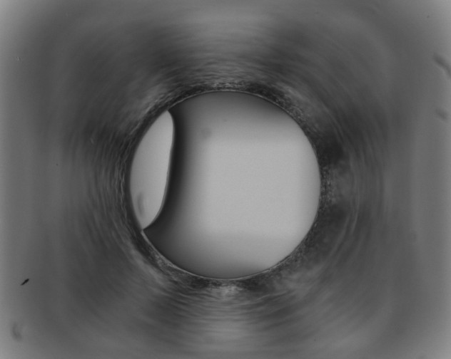X0000091900695200709051104