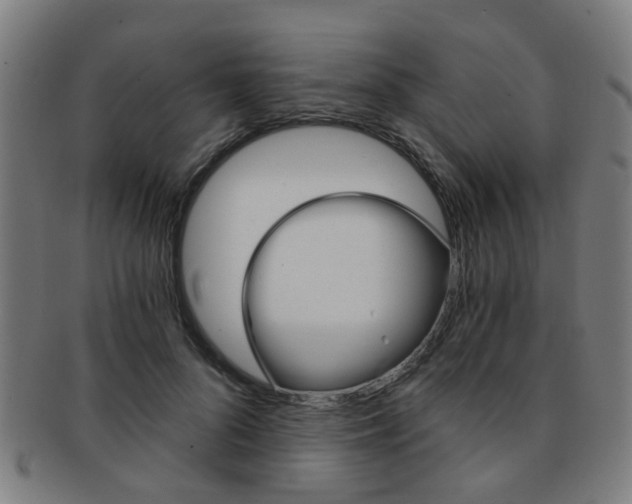 X0000091900696200709051104