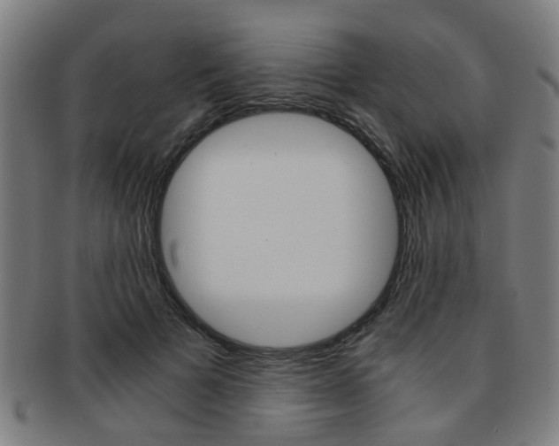 X0000091900697200709051104