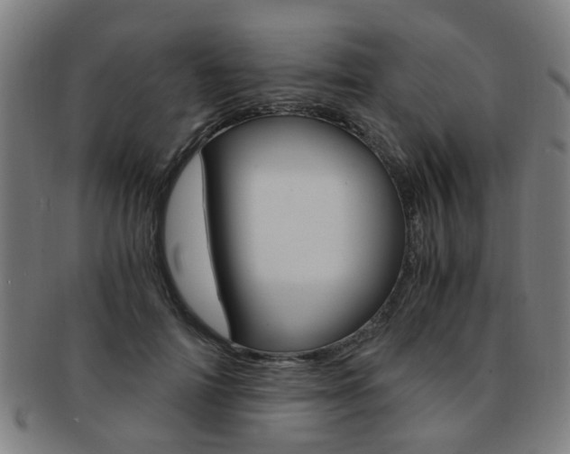 X0000091900698200709051104