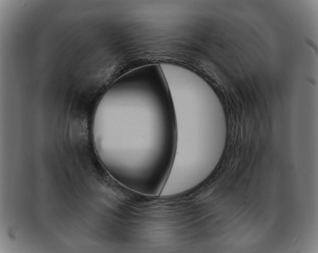 X0000091900700200709051104