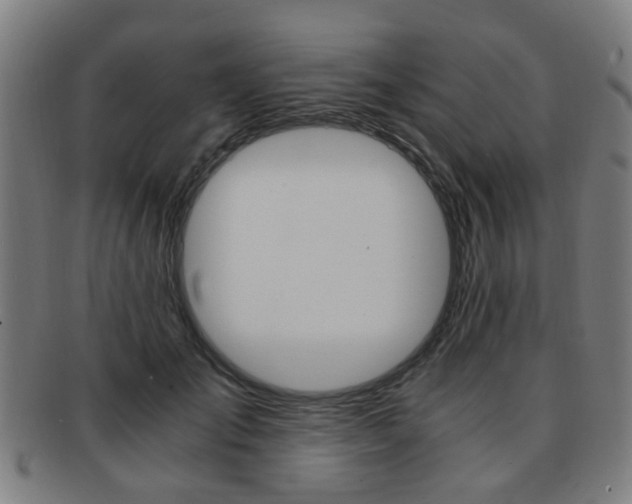 X0000091900701200709051104