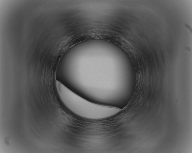 X0000091900702200709051104
