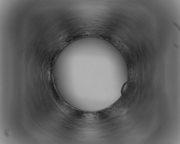 X0000091900703200709051104