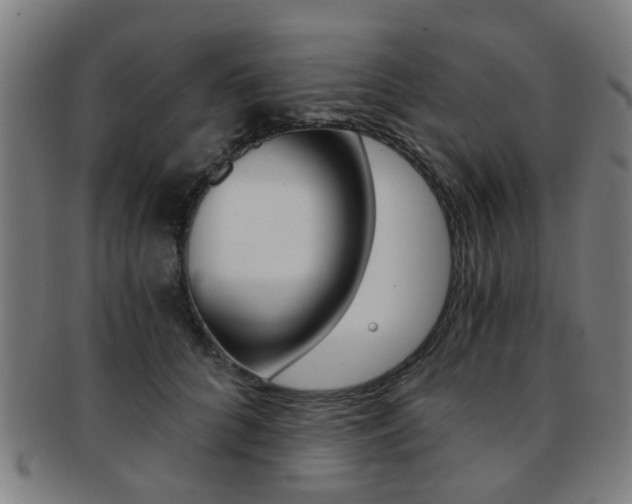 X0000091900704200709051104