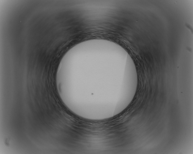 X0000091900705200709051104