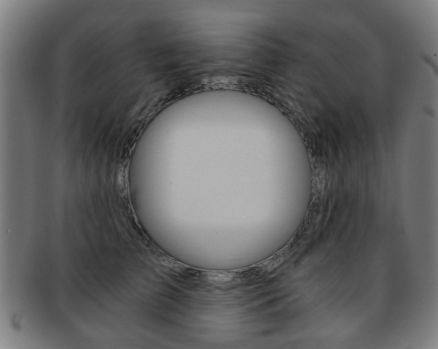 X0000091900709200709051104