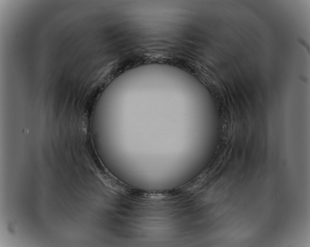 X0000091900710200709051104