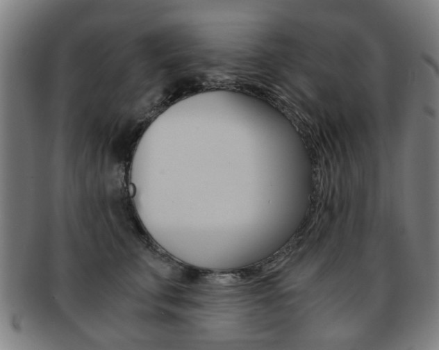 X0000091900711200709051104