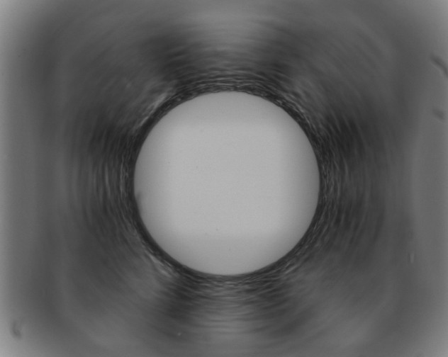 X0000091900712200709051104