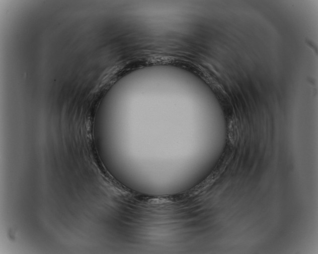 X0000091900714200709051104