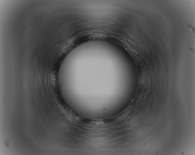 X0000091900715200709051104