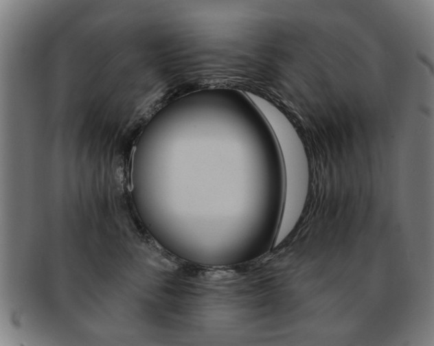 X0000091900716200709051104