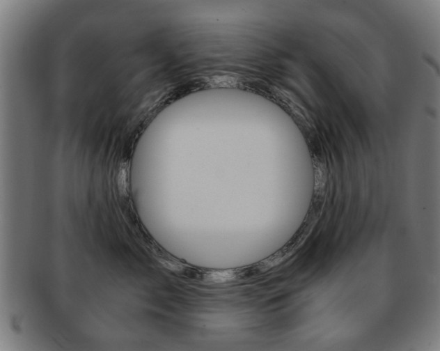 X0000091900717200709051104