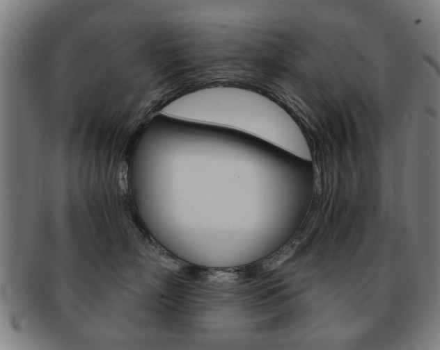 X0000091900718200709051104