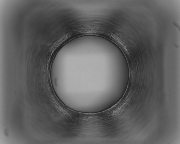 X0000091900721200709051103
