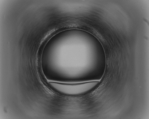 X0000091900722200709051103