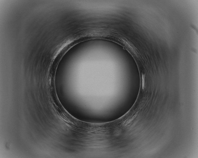 X0000091900723200709051103