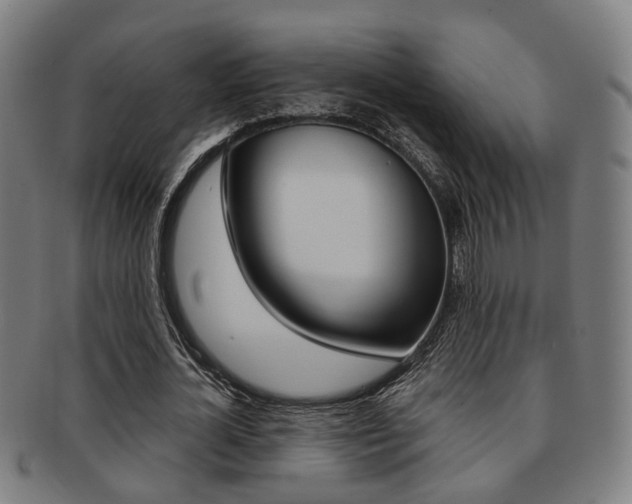 X0000091900724200709051103