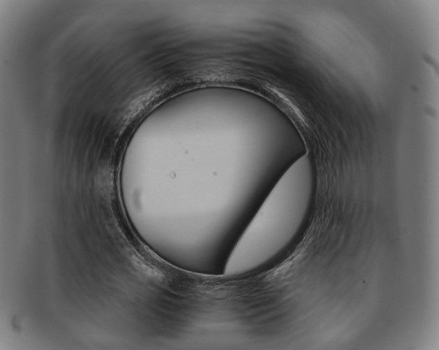 X0000091900725200709051103