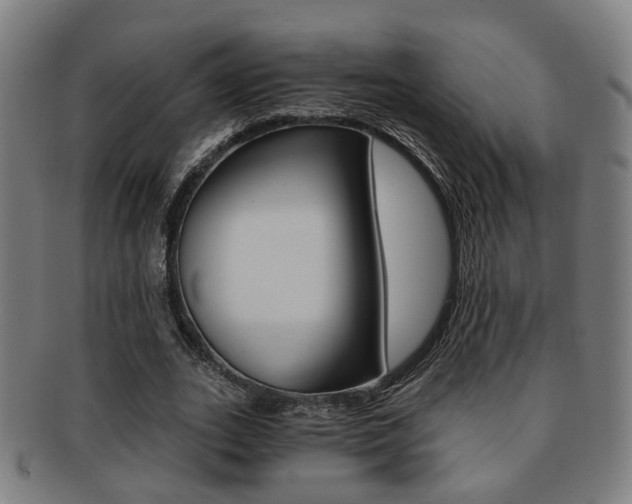 X0000091900727200709051103