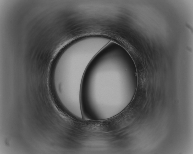 X0000091900728200709051103