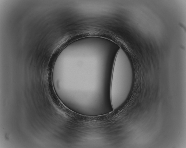 X0000091900730200709051103