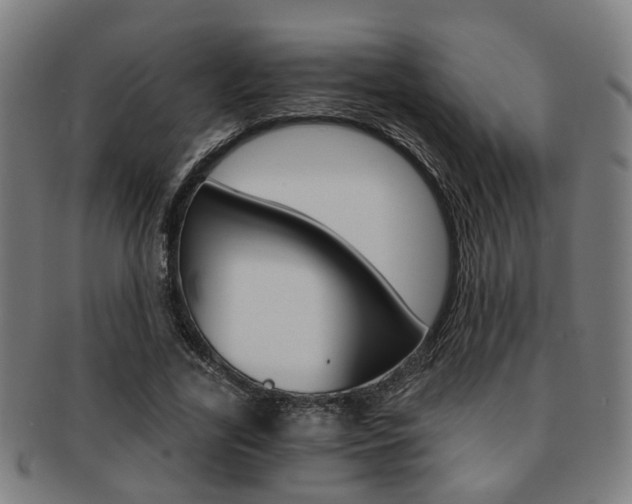 X0000091900731200709051103