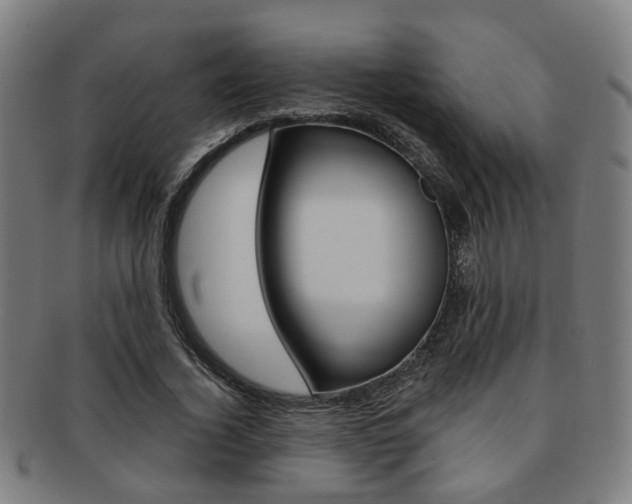 X0000091900732200709051103