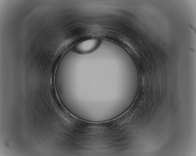 X0000091900733200709051103