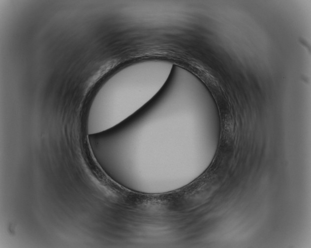 X0000091900734200709051103