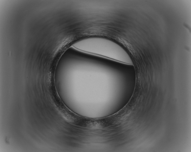 X0000091900735200709051103