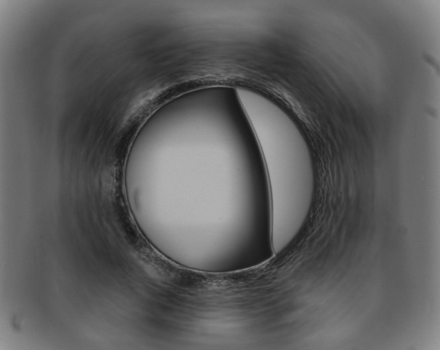 X0000091900736200709051103