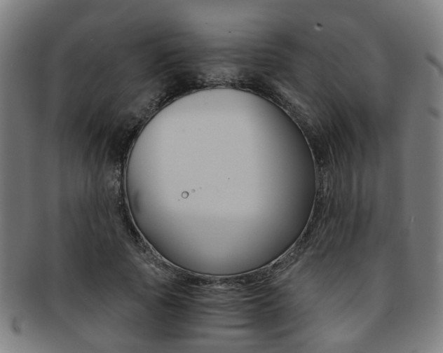 X0000091900737200709051103