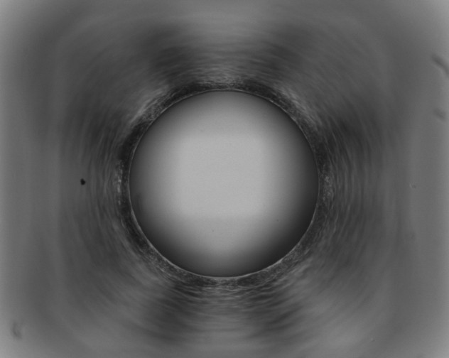 X0000091900739200709051103