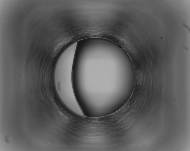 X0000091900740200709051103