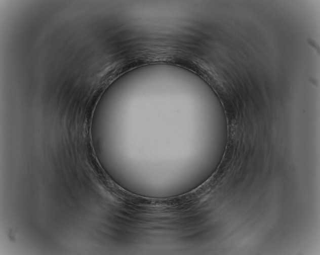 X0000091900741200709051103
