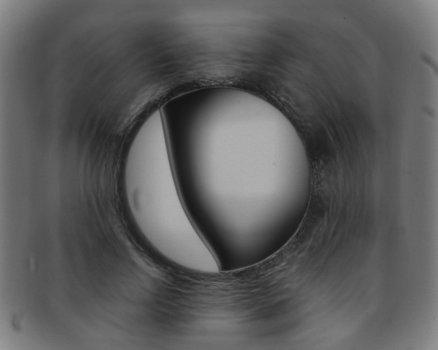 X0000091900742200709051103
