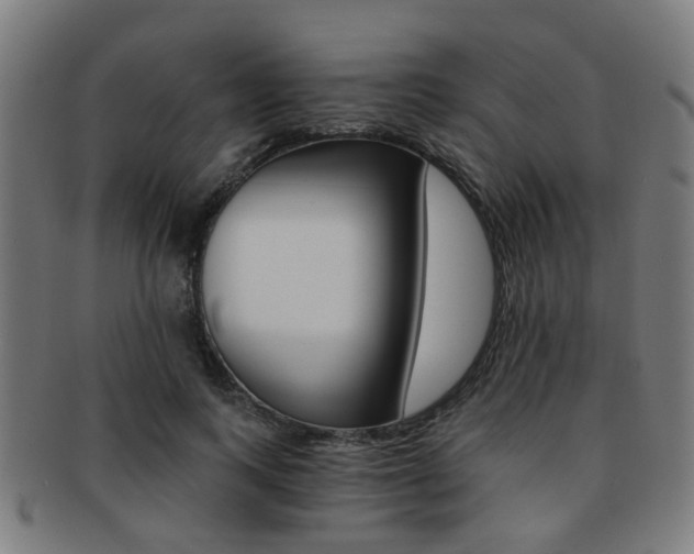 X0000091900743200709051103