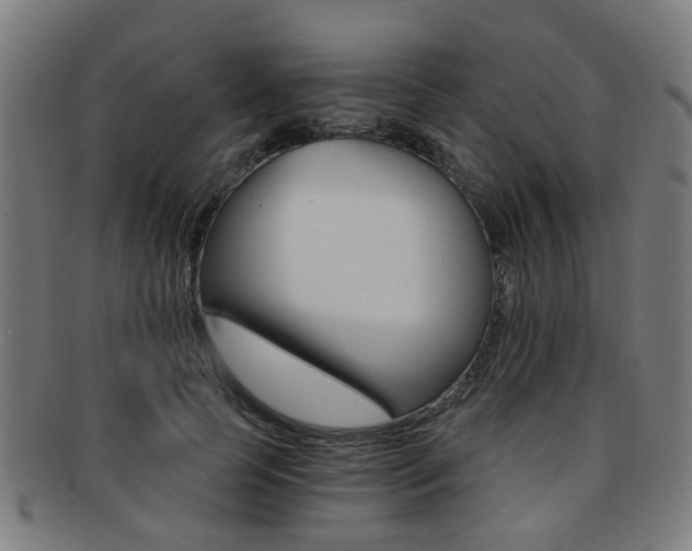 X0000091900745200709051103