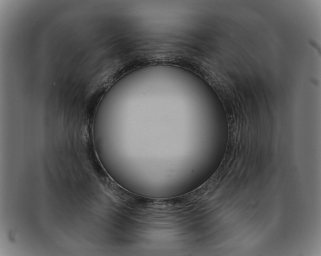 X0000091900746200709051103