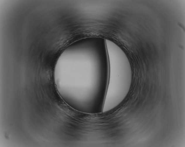 X0000091900747200709051103
