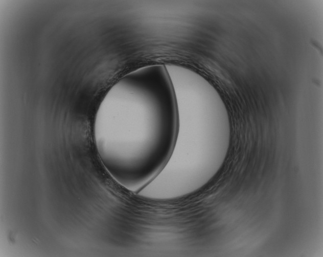 X0000091900748200709051103