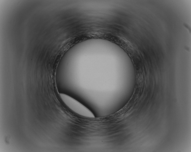 X0000091900749200709051103